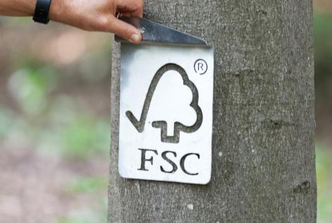 FSC_check_tree