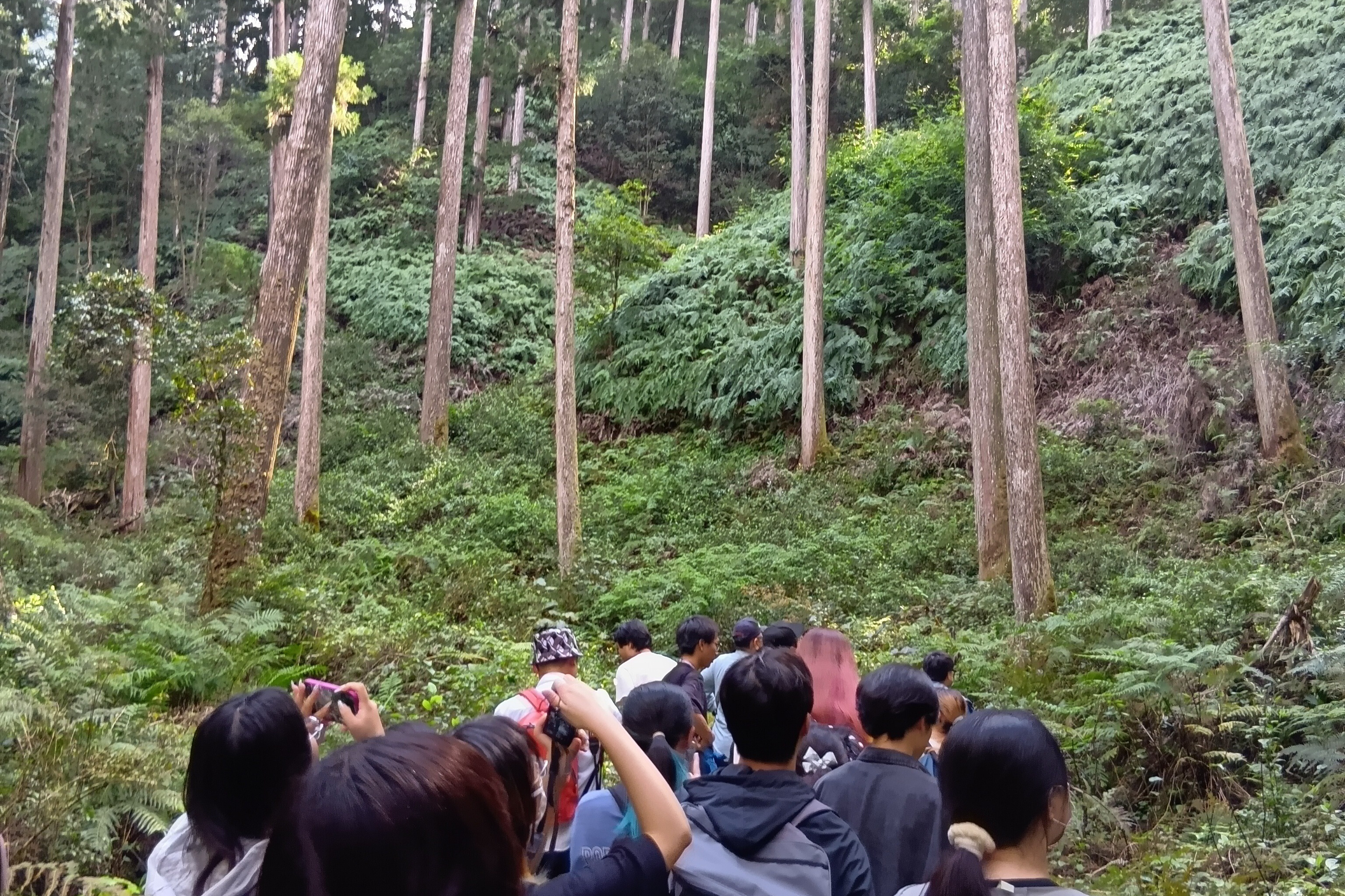 速水林業訪問