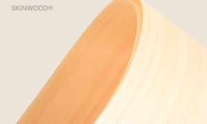 SKINWOOD