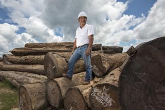 FSC_report_1444977763_image