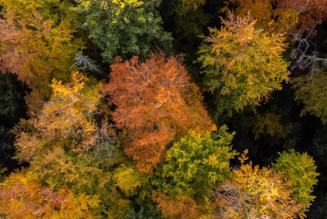 MicrosoftTeams-image