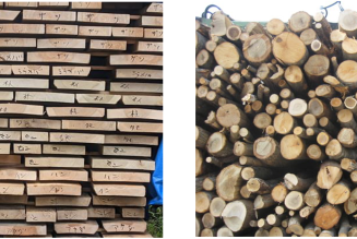 堀内さん広葉樹材画像