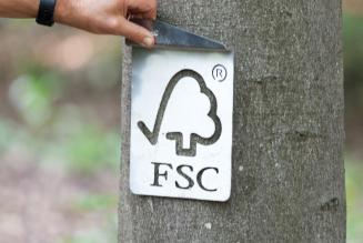 FSC_check_tree