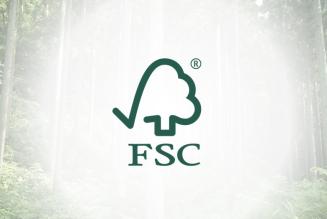 FSC logo in forest thumbnail