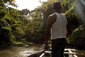 2014年の小規模林家ファンド