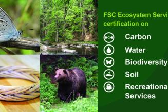 Ecosystem services