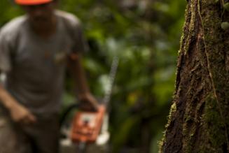 CRNA for high conservation values open for public consultation