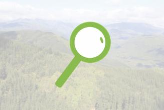 FSC takes a closer look at the scope of forest conversion rules