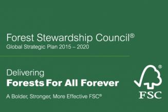 2015年～2020年 FSCグローバル戦略計画発表