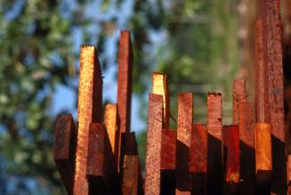 FSC認証材供給力調査の公開