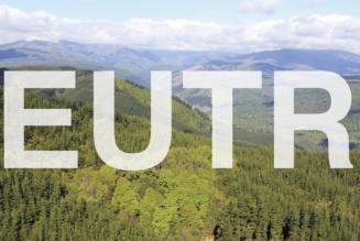 EU木材規則の執行における認証制度の役割