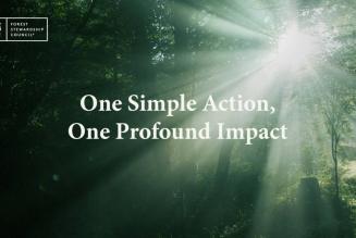 One simple action