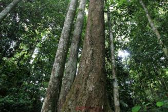 Resources for Stakeholders