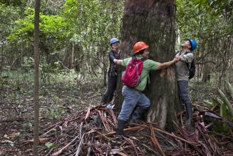 WE CERTIFY FORESTS BIG AND SMALL