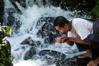 Ecosystem Services Procedure