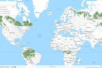 Global Forest Watch