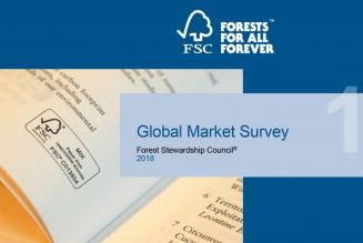 Global Market Survey