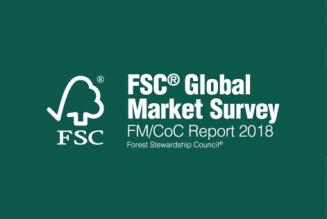 Global Market Survey
