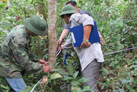 Huong Son Vietnam Carbon measurements