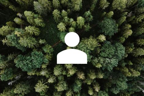 person and forest