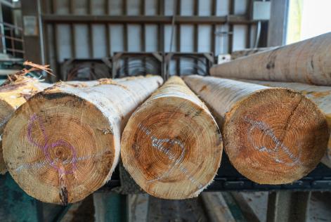 2023_FSC APAC_Gifu, Japan_Higashishirakawa_(c)FSC_Ben Beech_80.jpg