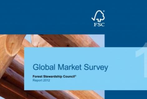 market survey 2012