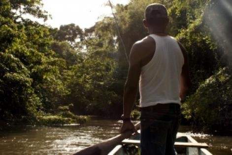 2014年の小規模林家ファンド