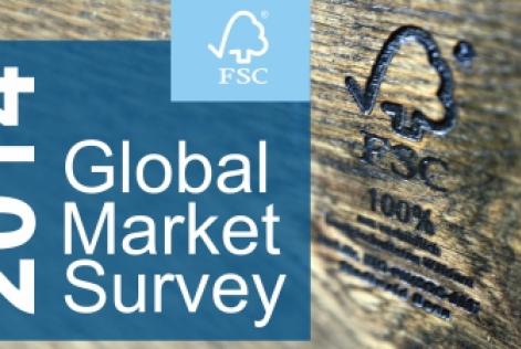 Market Survey 2014