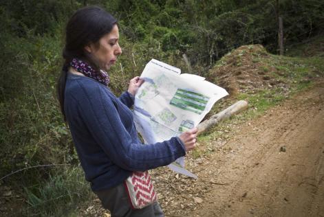 ForCES pilot testing in Chile