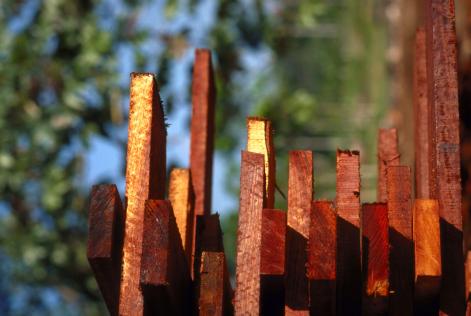 FSC認証材供給力調査の公開