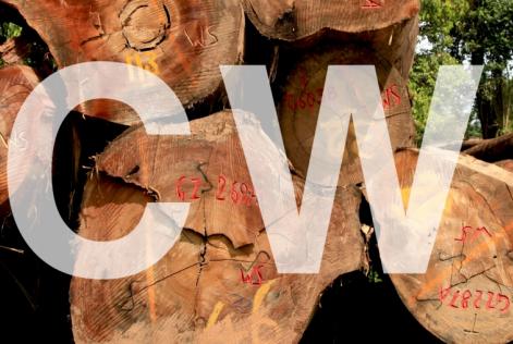 (英語版)オンラインセミナー：管理木材調達のためのリスクアセスメント