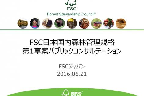 プレゼンスライド