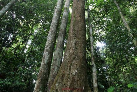 Resources for Stakeholders