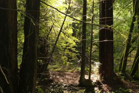 Supply chain integrity