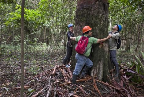 WE CERTIFY FORESTS BIG AND SMALL