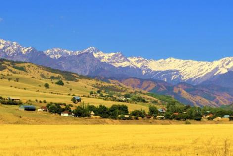 Kyrgyz smallholder group