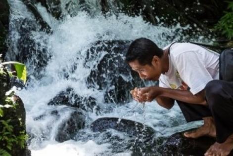 Ecosystem Services Procedure