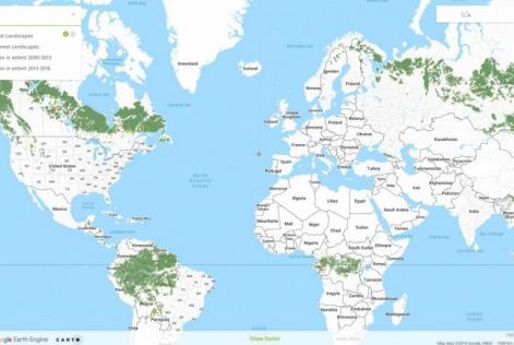 Global Forest Watch