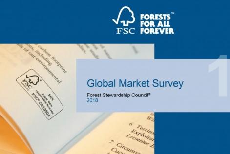 Global Market Survey
