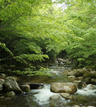 FM_Yamanashi