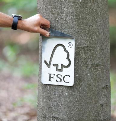 FSC_check_tree