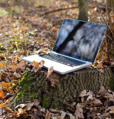 laptop-notebook-computer-work-screen-tree