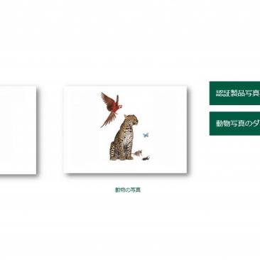 product and animal photos